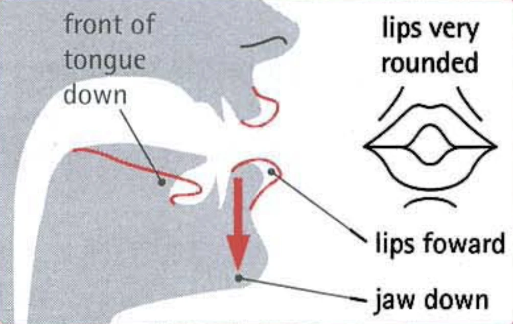 Как произносить ɔ: